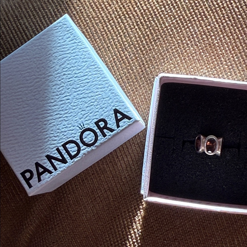 Pandora Charm